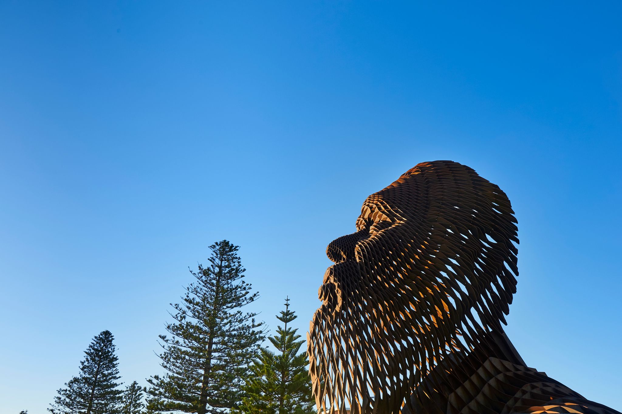 A bronze sculpture of an Noongar man's face against the blue sky and pine trees.