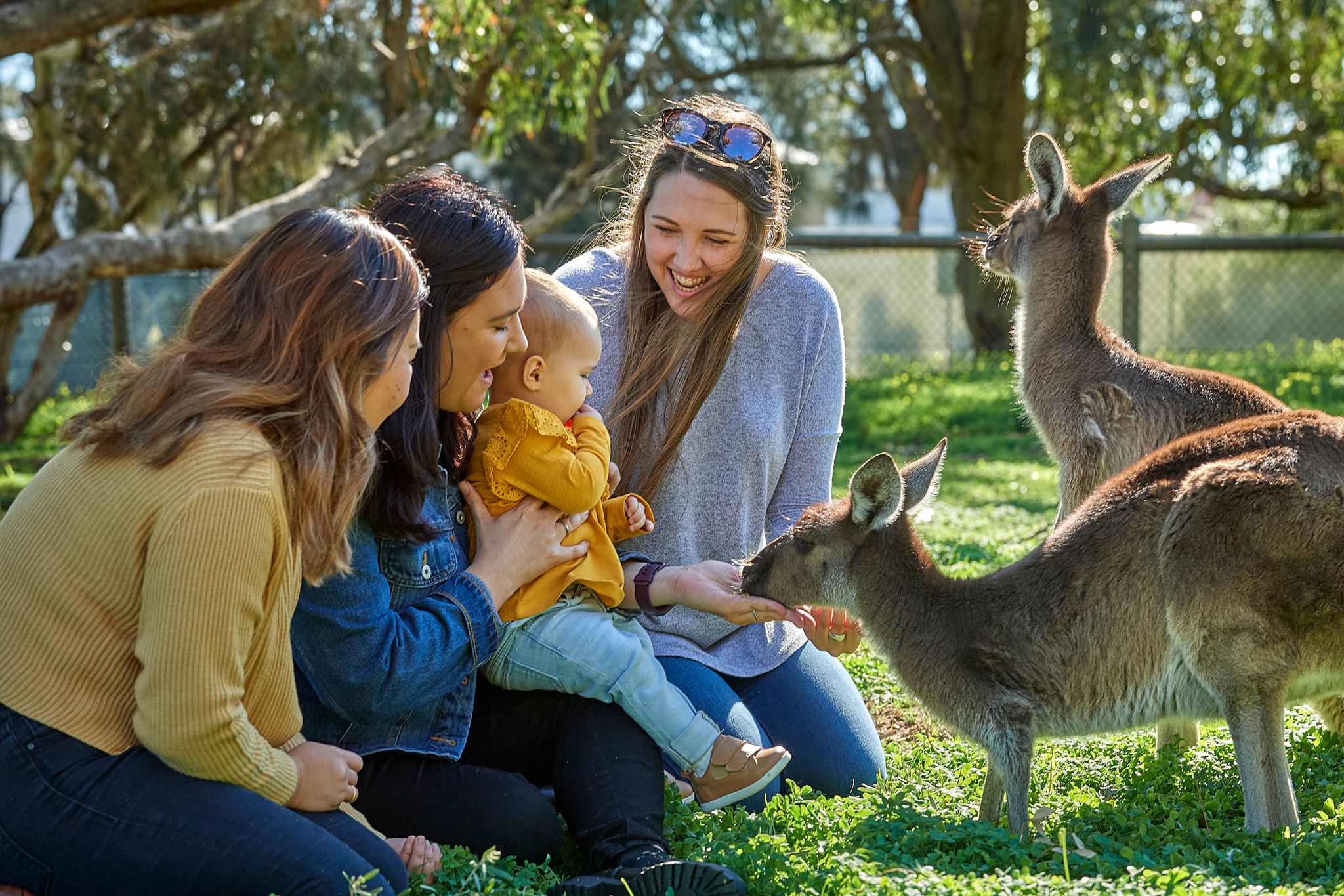 2 women and a baby feeding a kangaroo in a park