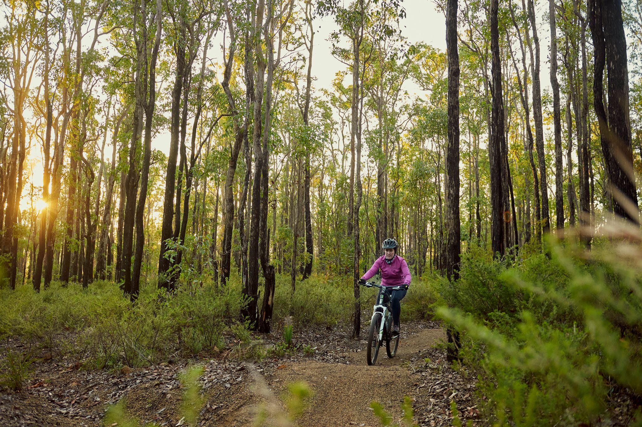 A woman in a pink jacket riding a mountain bike within the green forest.