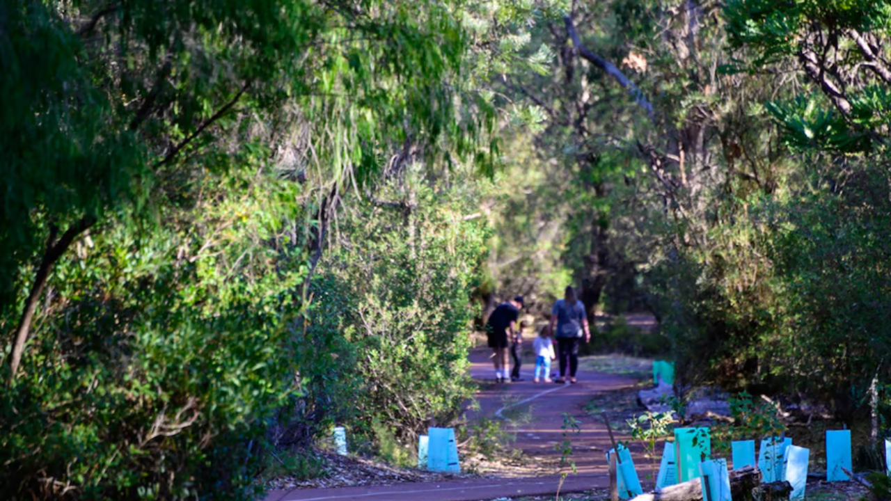 A family walking through a forest on a red sealed path. 
