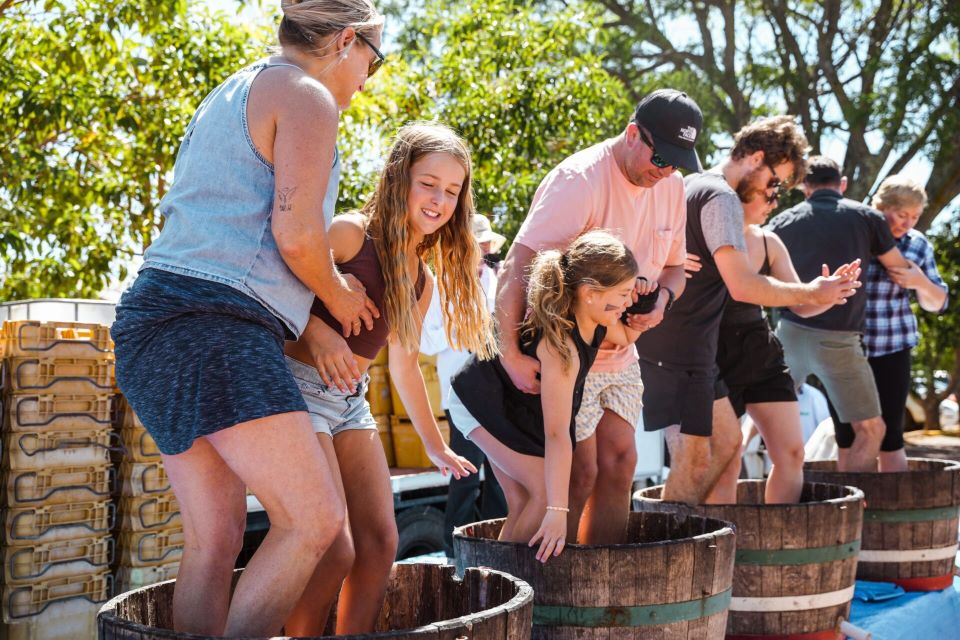 Children with their parents stomping on grapes in barrels