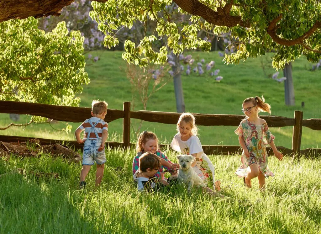 Children play with a dog in the grass under a tree