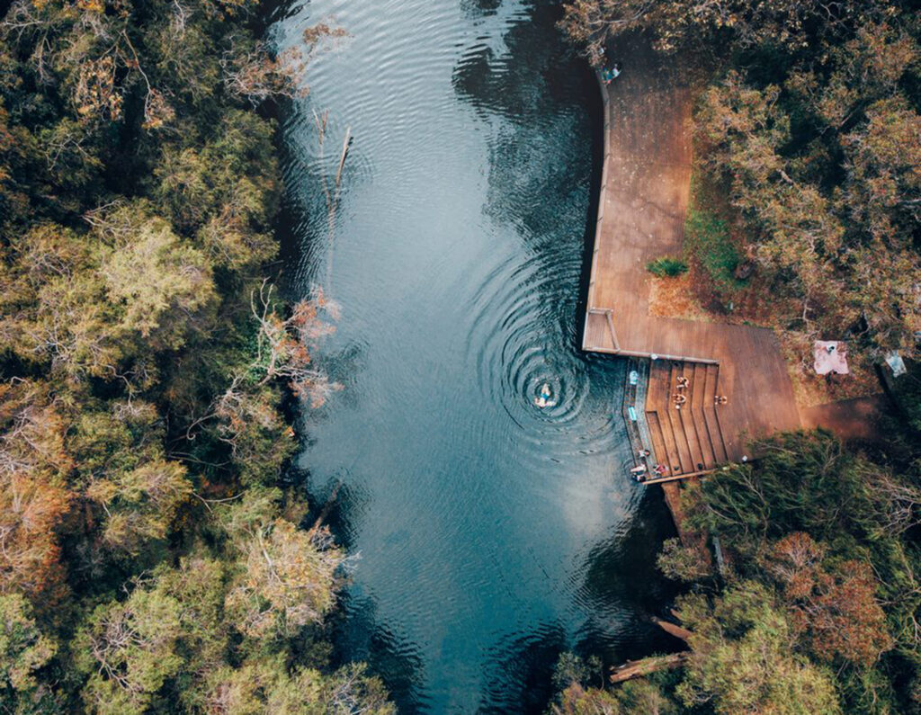 AN aerial image of a river, with a wooden deck on one side and peppermint trees on the other.